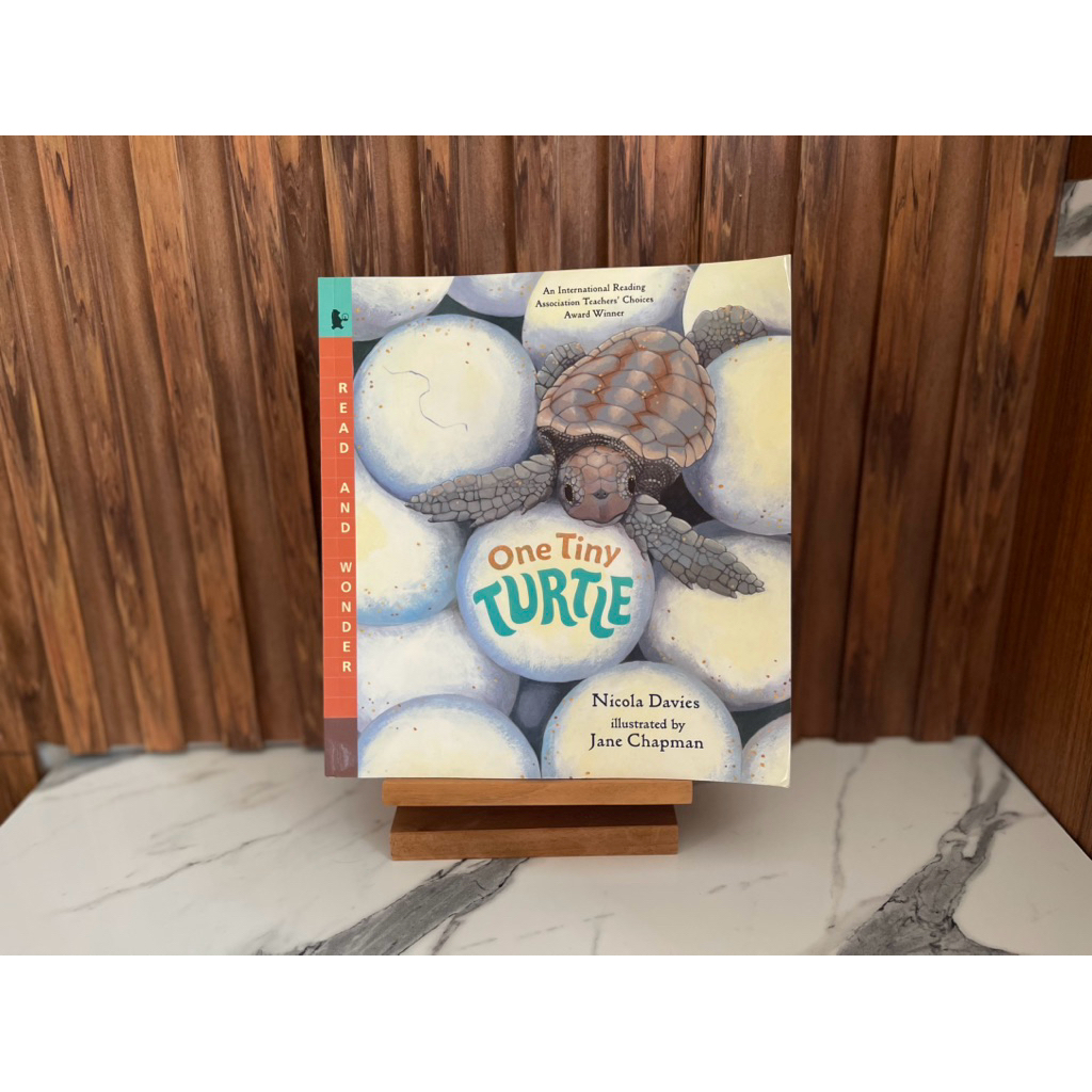 One Tiny Turle- Nicola Davies & Jane Chapman [PRELOVED] buku anak