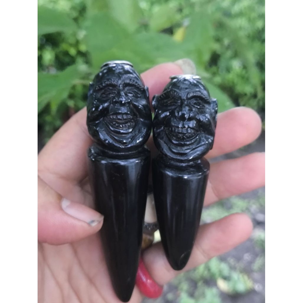 PIPA ONCE FOSIL AKAR BAHAR UKIR SEMAR