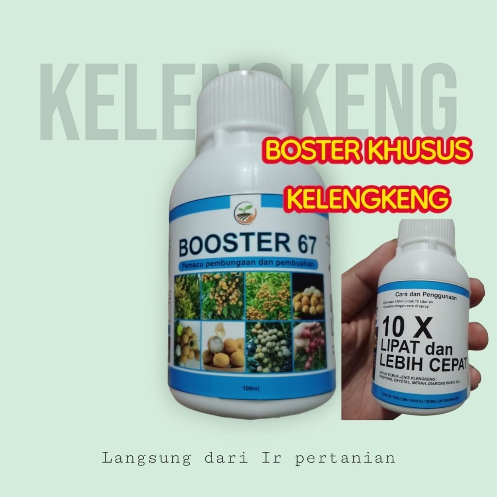 Boster 67 Pupuk pembungaan & pembuahan kelengkeng -Perangsang bunga & buah lebat