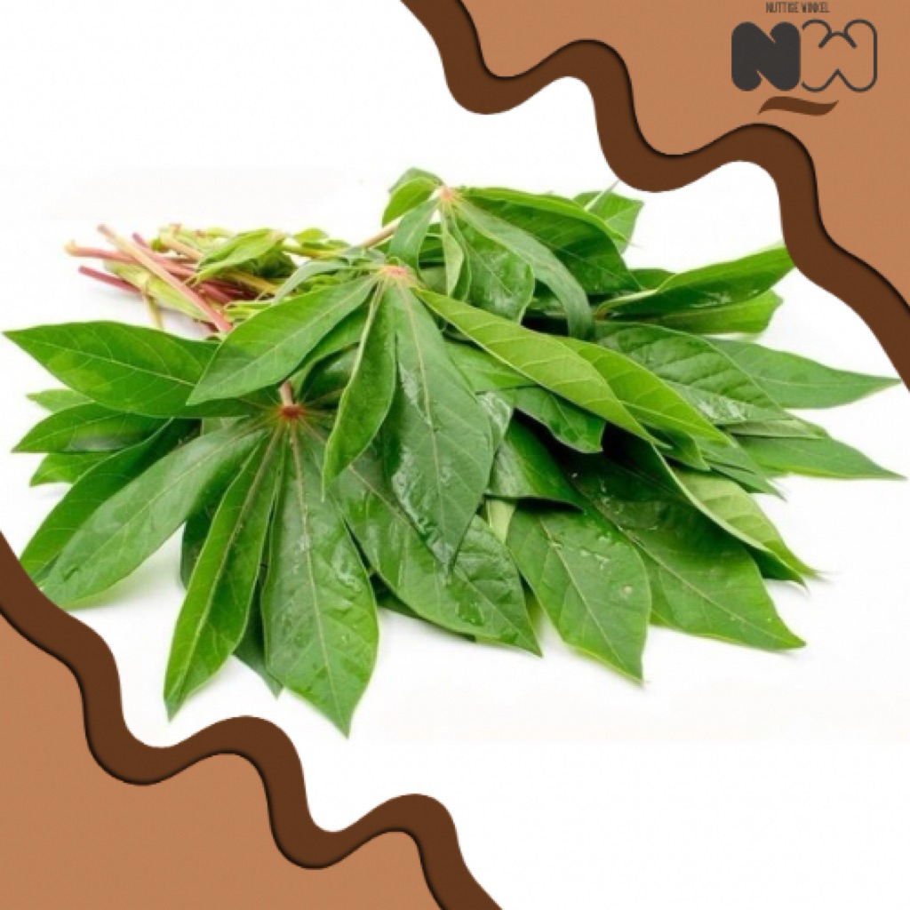 Daun Singkong Lalab – Muda, Empuk, & Segar Siap Rebus