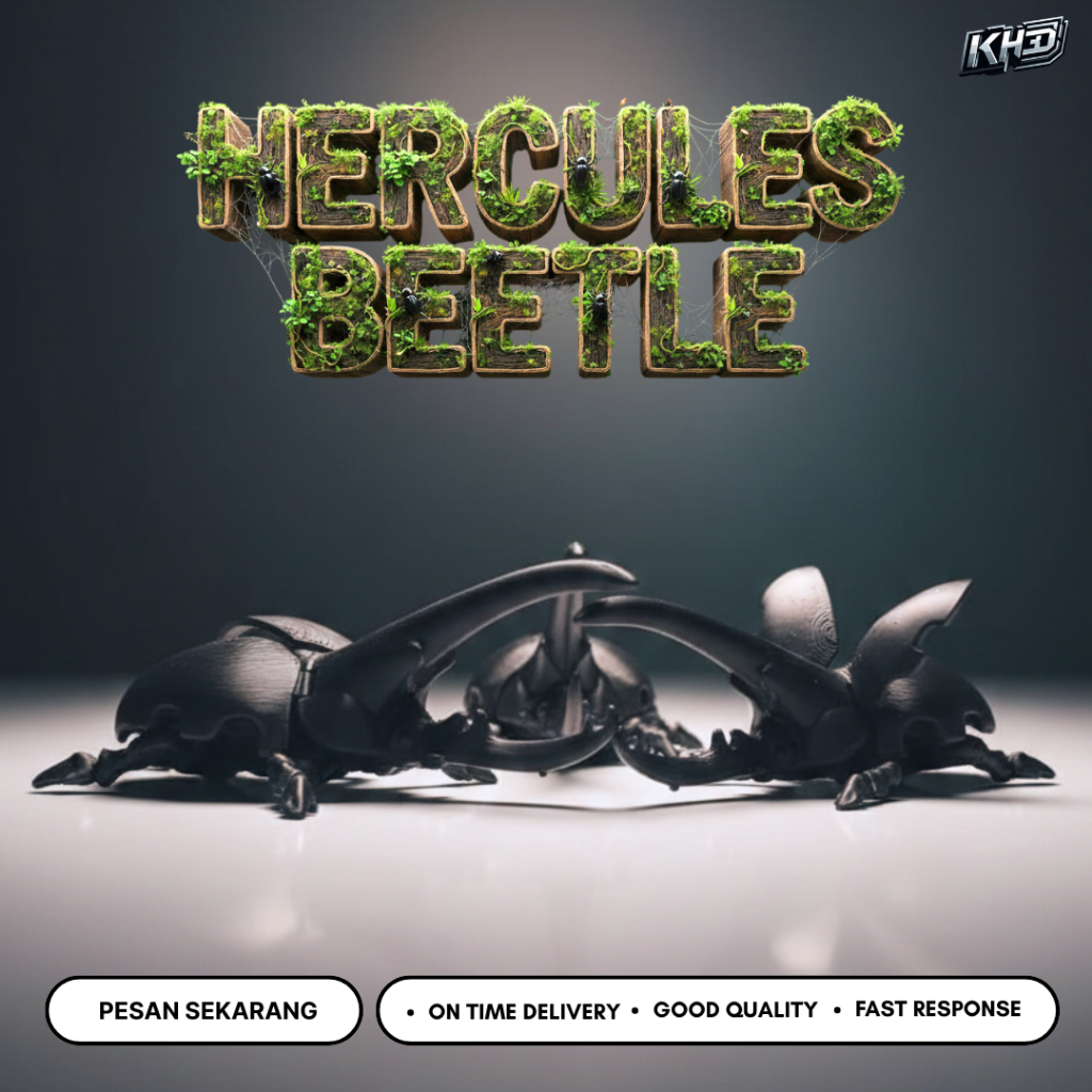 Pajangan Kumbang Artistik Dekorasi Rumah Estetik | Hiasan Dinding & Meja Unik Bentuk Kumbang | Dekor