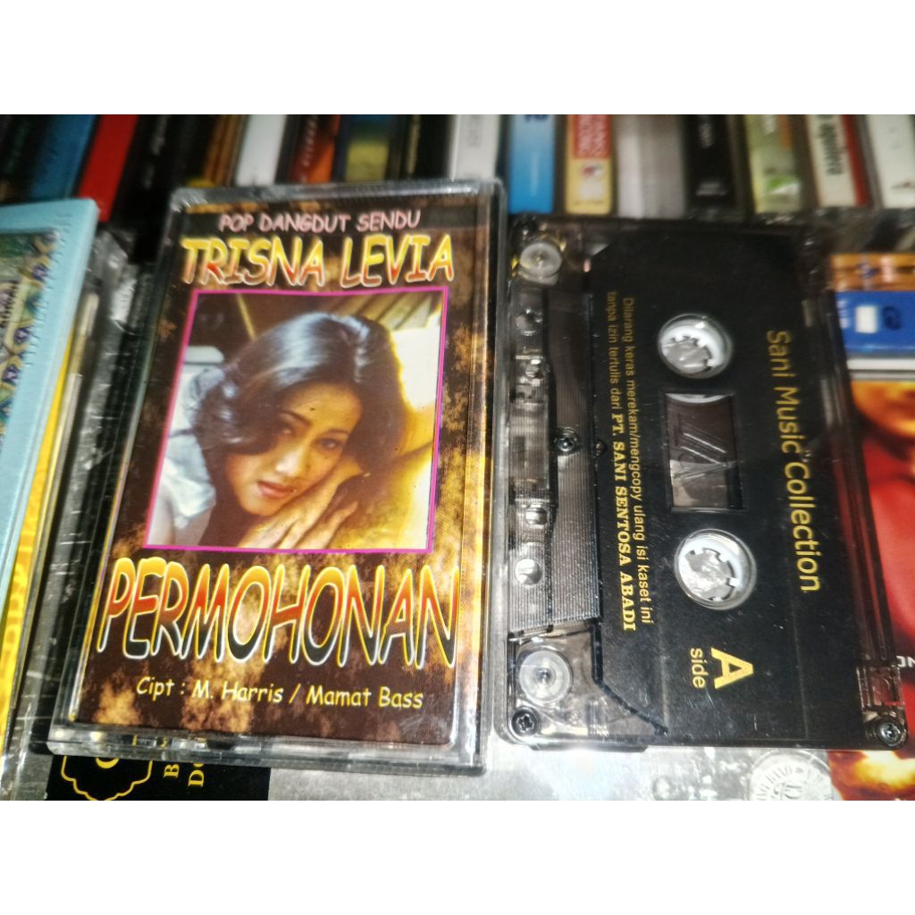 Kaset Pita Dangdut Trisna Levia & Dangdut House mix Alay