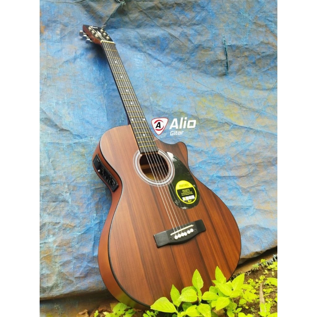 Gitar Cort Akustik Elektrik