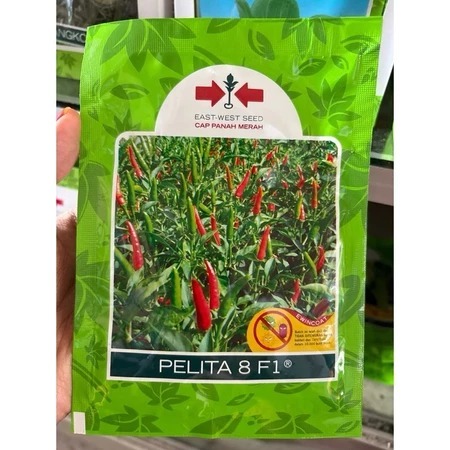 Benih Cabe Rawit Pelita 8 F1 isi 2250 butir