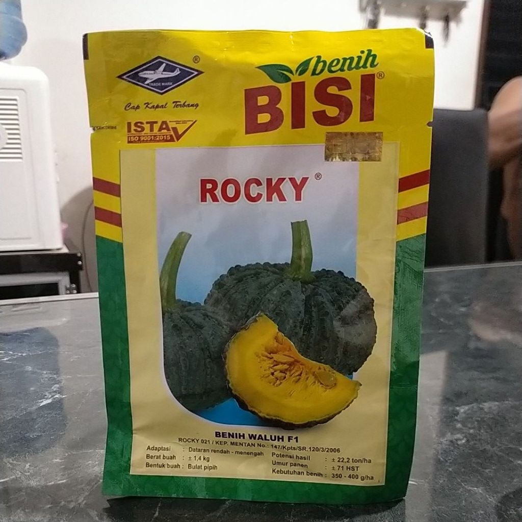 ( EXP NOV 2026) BIBIT BENIH WALUH LABU KUNING ROCKY 5 GRAM CAP KAPAL TERBANG BISI