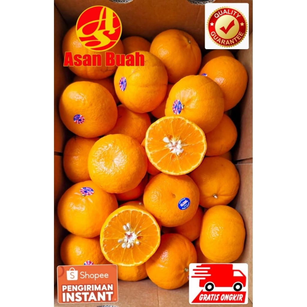 Buah Jeruk Manis Murcot Ponkam Taiwan Sumo Dekopon Papagan Besar Santang Kecil Shantang Birma Pack M