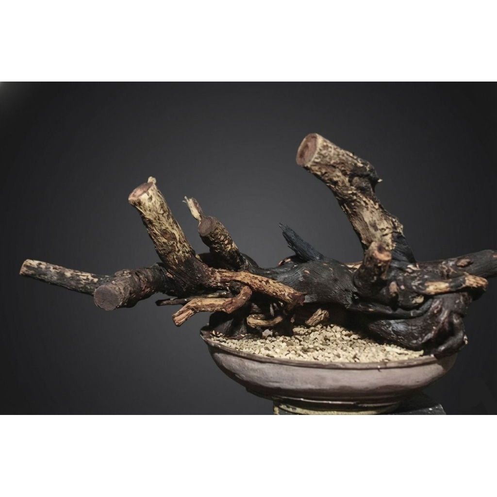 Santigi Karang Raft Dongkelan