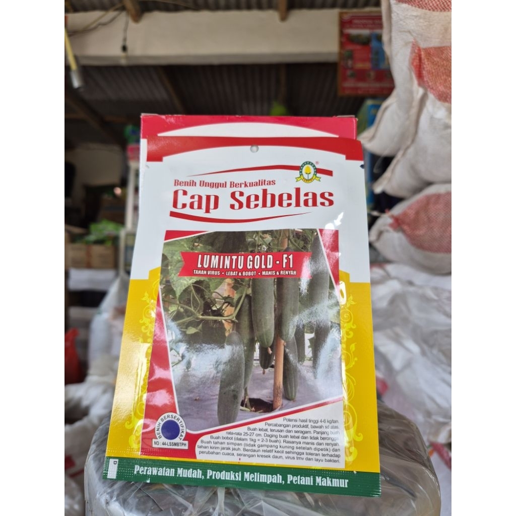 Benih Timun Lumintu Gold F1 Cap Sebelas ORIGINAL