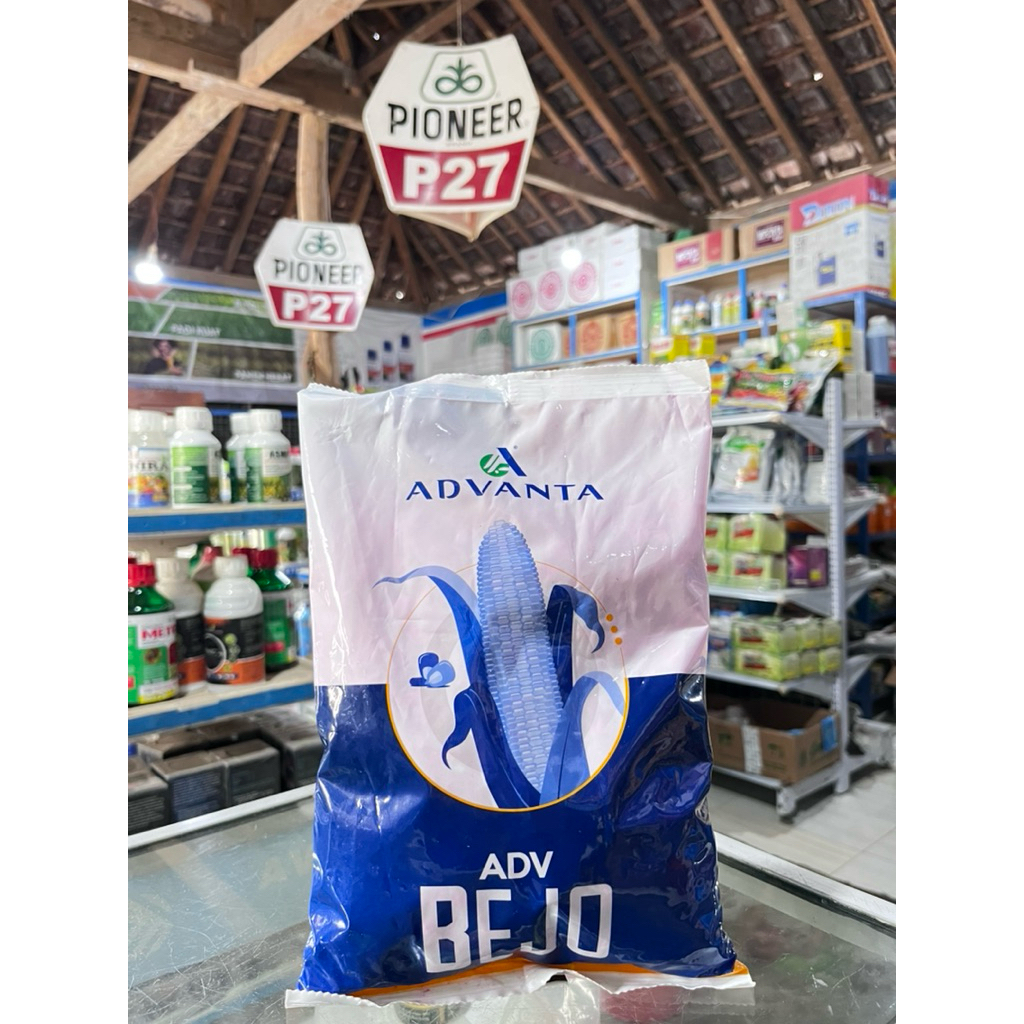 Bibit Jagung Advanta BEJO_1 kg