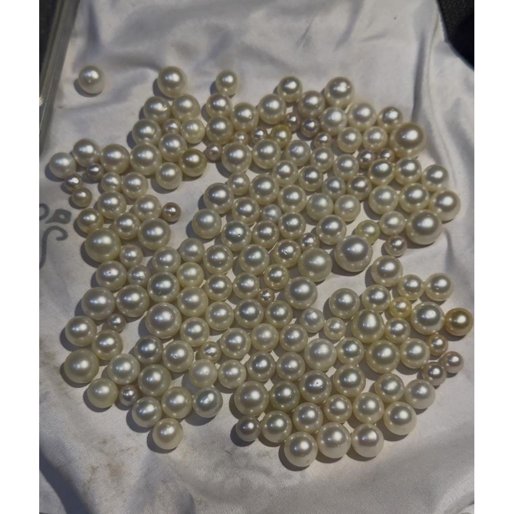 Mutiara laut original