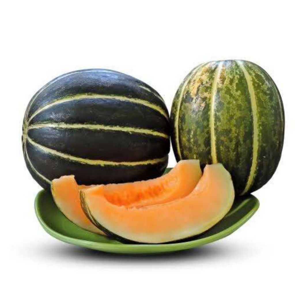 30 BIJI BENIH BLEWAH BLASTER