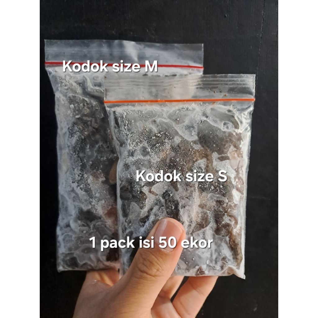 Kodok Beku / Kodok Pakan Arwana / Makanan Beku Arwana / Pakan Ikan Predator / Frozen Food / Makanan 