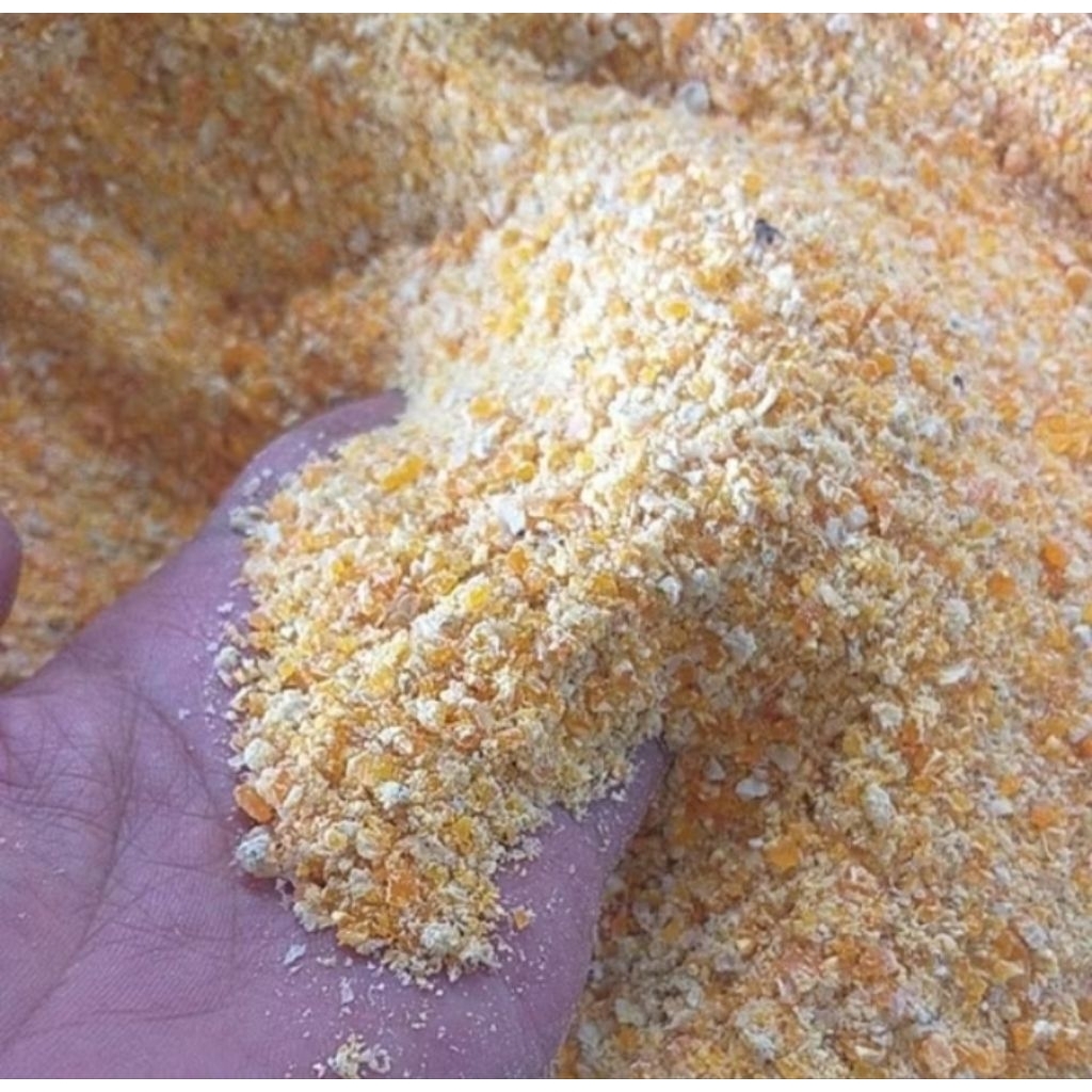 Jagung Giling Pakan Ayam 1Kg