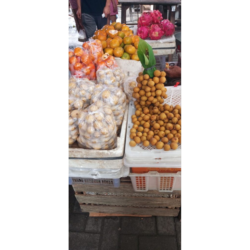 BUAH DUKU 1KG DAN ½KG