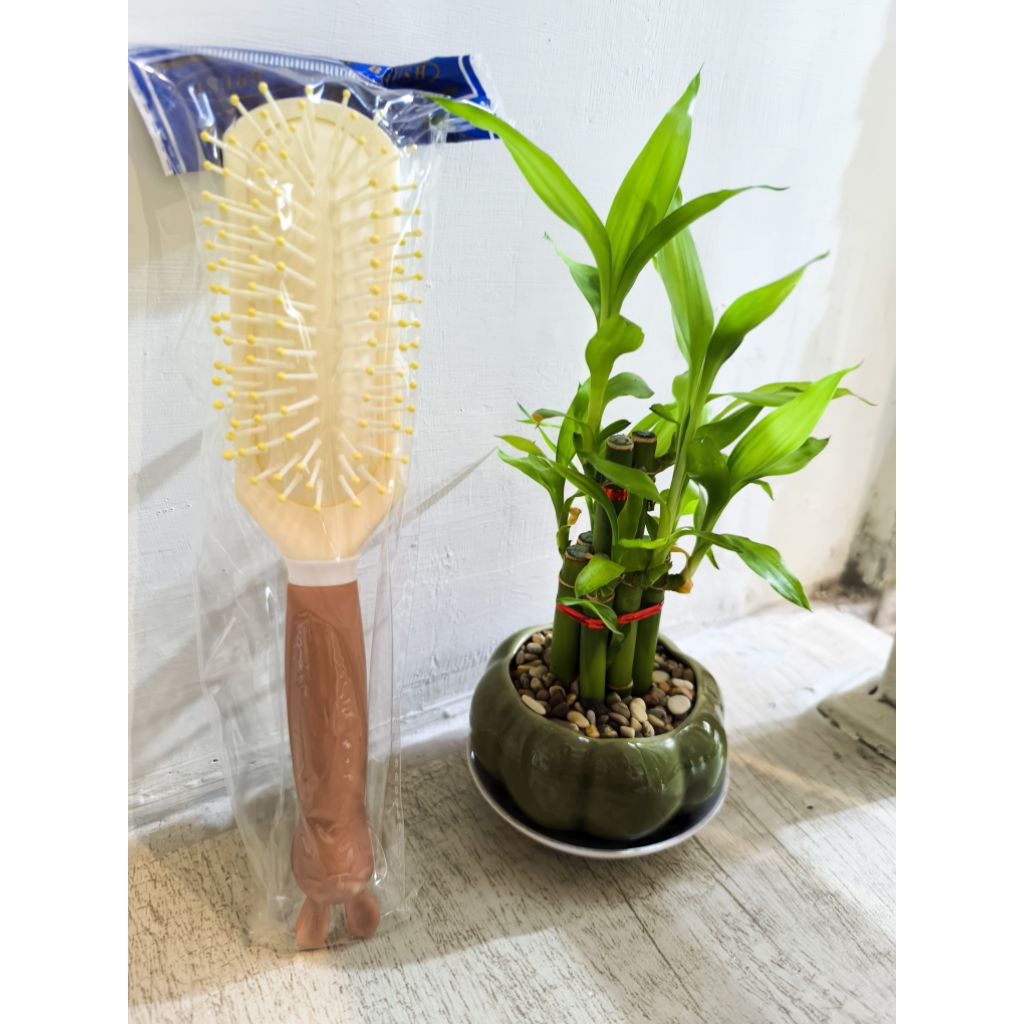 Sisir Kotak|Sisir Rambut|Sisir Blow|Sisir Sikat