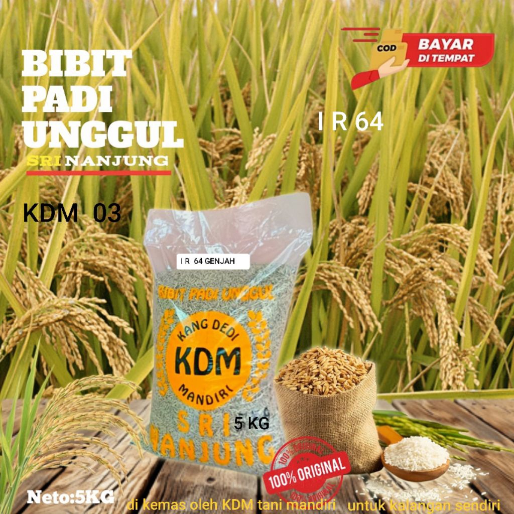 BENIH PADI I R 64 JUMBO GENJAH KEMASAN 5 KG BIBIT PADI BERKUALITAS UNGHUL