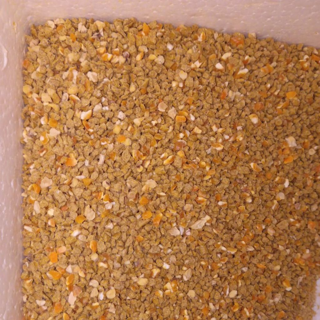 PAKAN AYAM VOER CAMPURAN JAGUNG 511/512