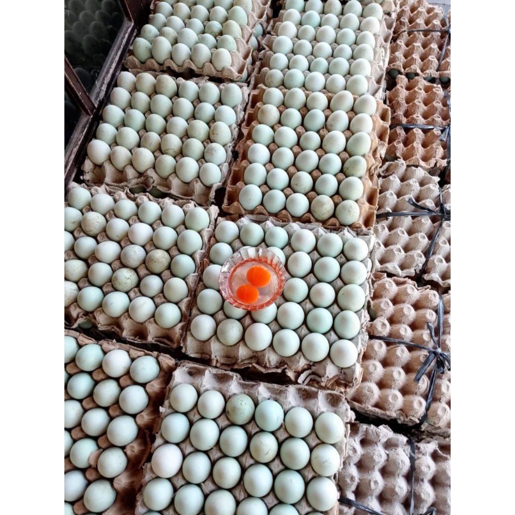 Telur Bebek Omega (Oren)