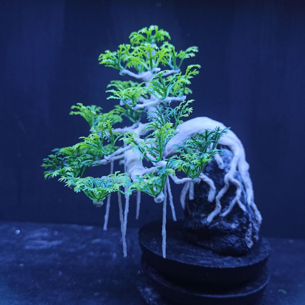 bonsai aquascape aquarium bonsai beringin akar juntai bonsai hias replika plastik