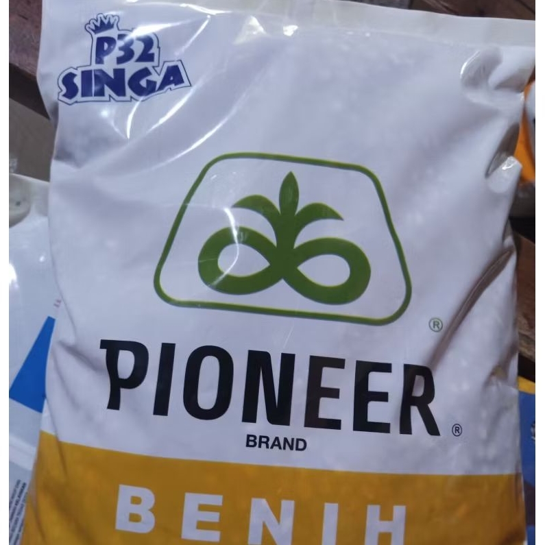 Benih jagung pioner p32 singa 5kg