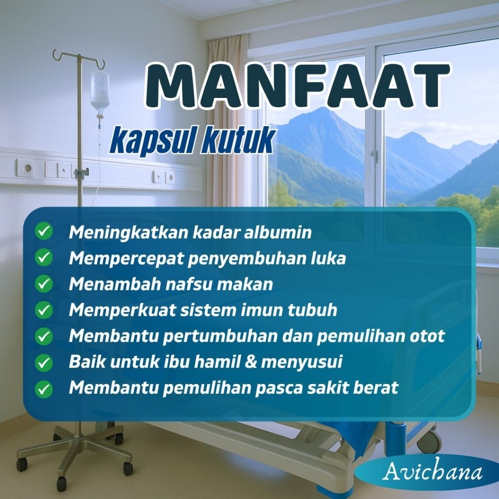 Avichana  ekstrak ikan gabus ,sari kutuk,kapsul kutuk