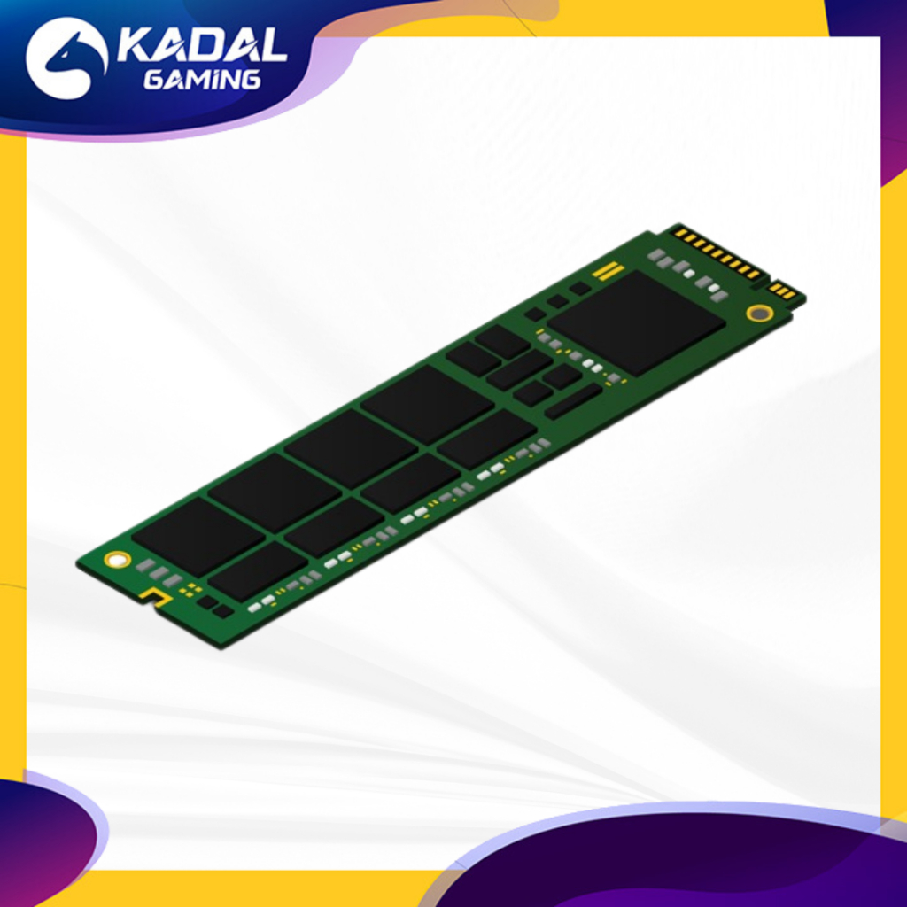 TAMBAHAN SSD NVME KHUSUS RAKITAN PC