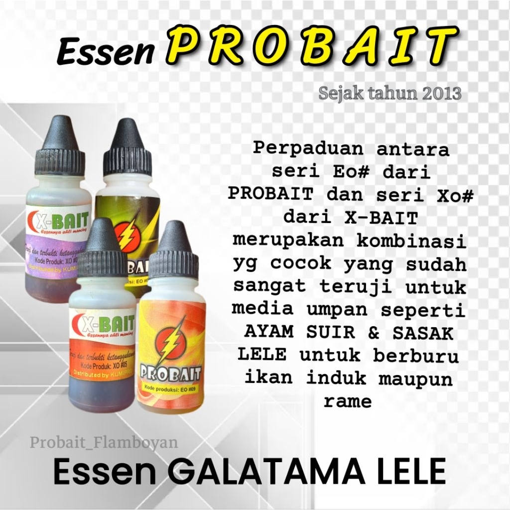 ESSEN GT LELE MEDIA AYAM SUIR DARI PROBAIT