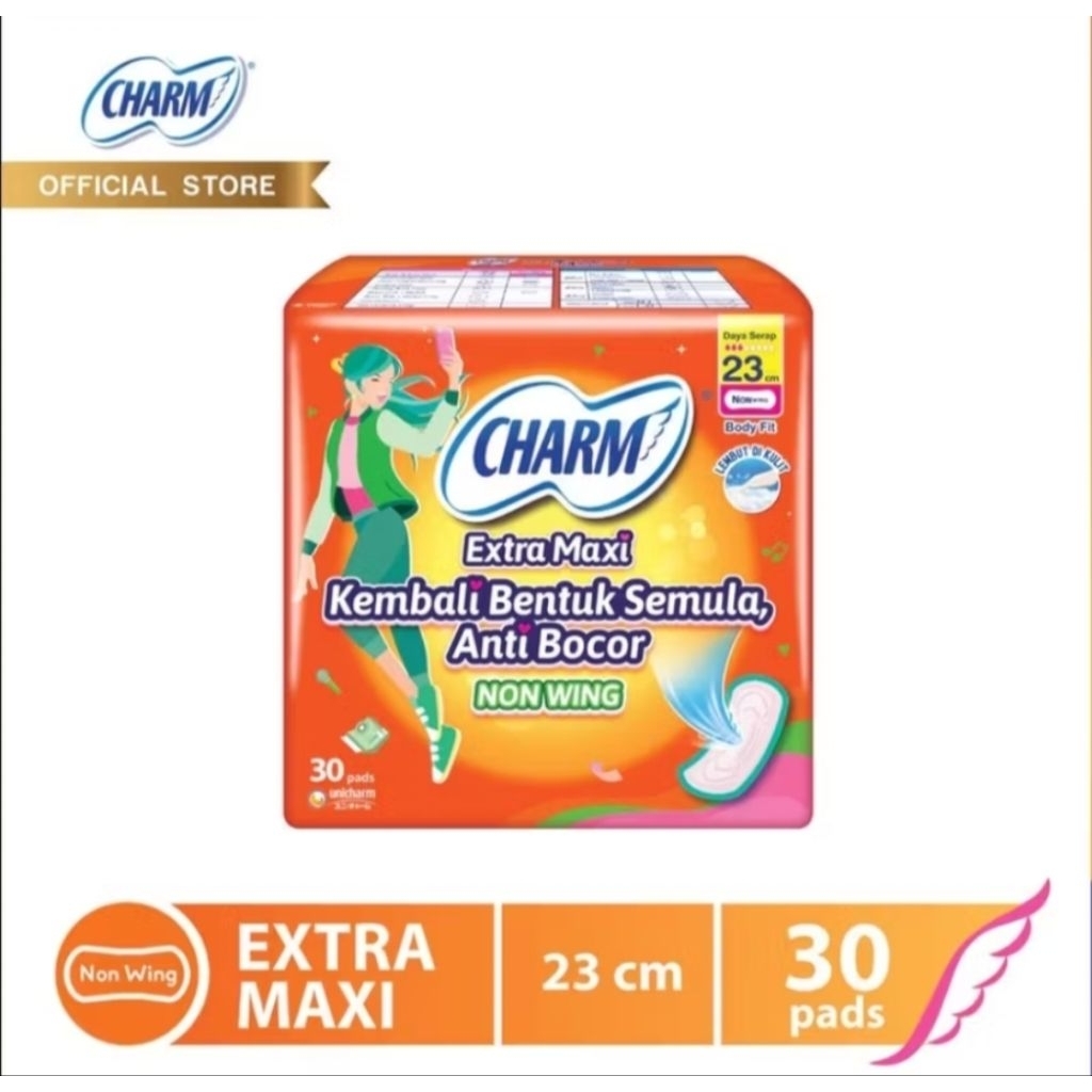 CHARM EXTRA MAXI 23 CM NON WING ISI 30 PC