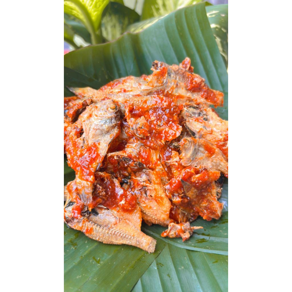 Balado Ikan Kopek Kering 50 gram Renyah gurih pedas manis asin