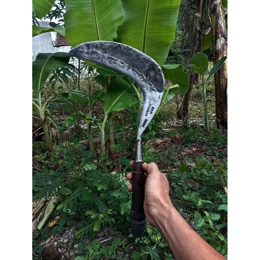 sabit/arit BAJA TEMBUS cap (DARMO)