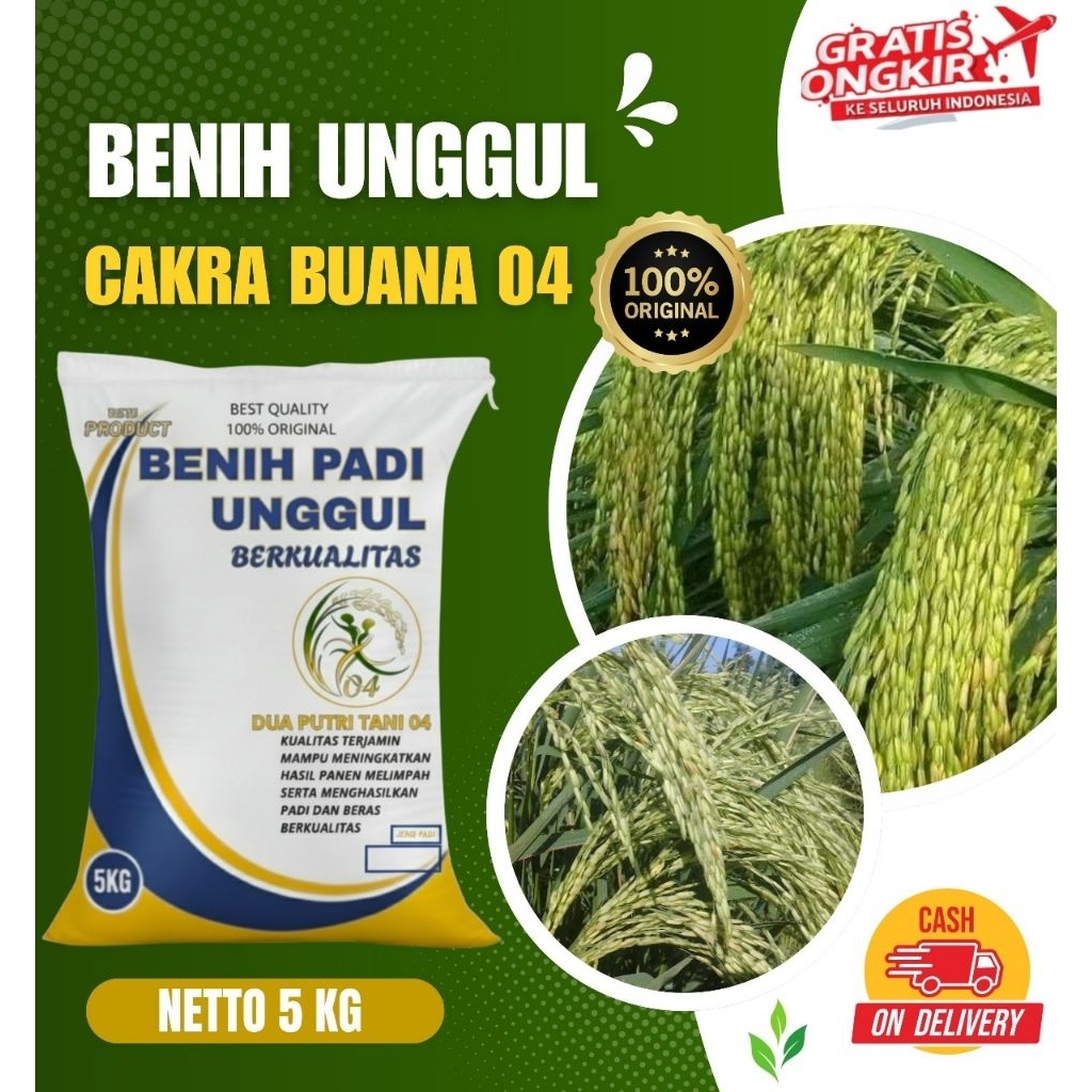 Benih padi unggul CAKRABUANA 04 kemasan 5Kg