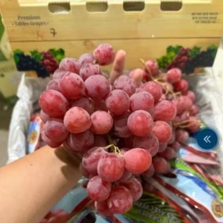 GROSIR ANGGUR MERAH USA MANIS GARING GEDE2/DUS