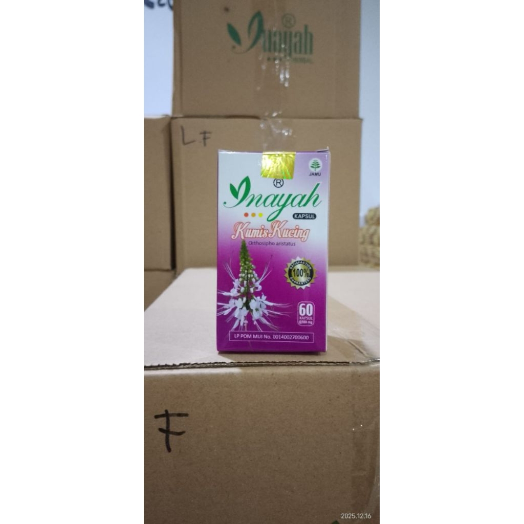 KAPSUL KUMIS KUCING
