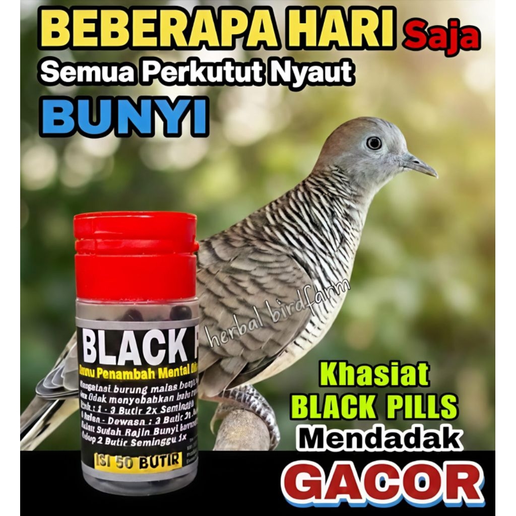 BLACK PILLS 50 Butir Jamu Perkutut Herbal - Meningkatkan Birahi, Stabilkan Birahi, Tambah Mental