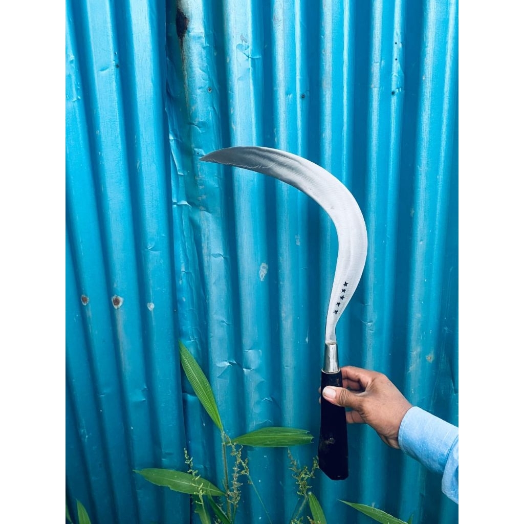 sabit ranting bintang 5