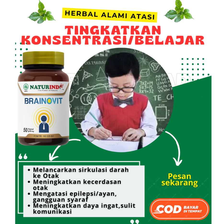 BRAINOVIT Vitamin Daya Ingat Kecerdasan Otak Suplemen Daya Ingat Anak & Dewasa Herbal Naturindo