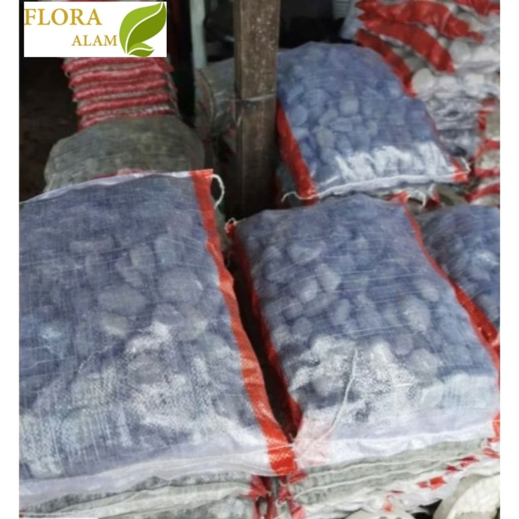 Batu Hitam Batu Koral Hitam Bengkulu 10 Kg