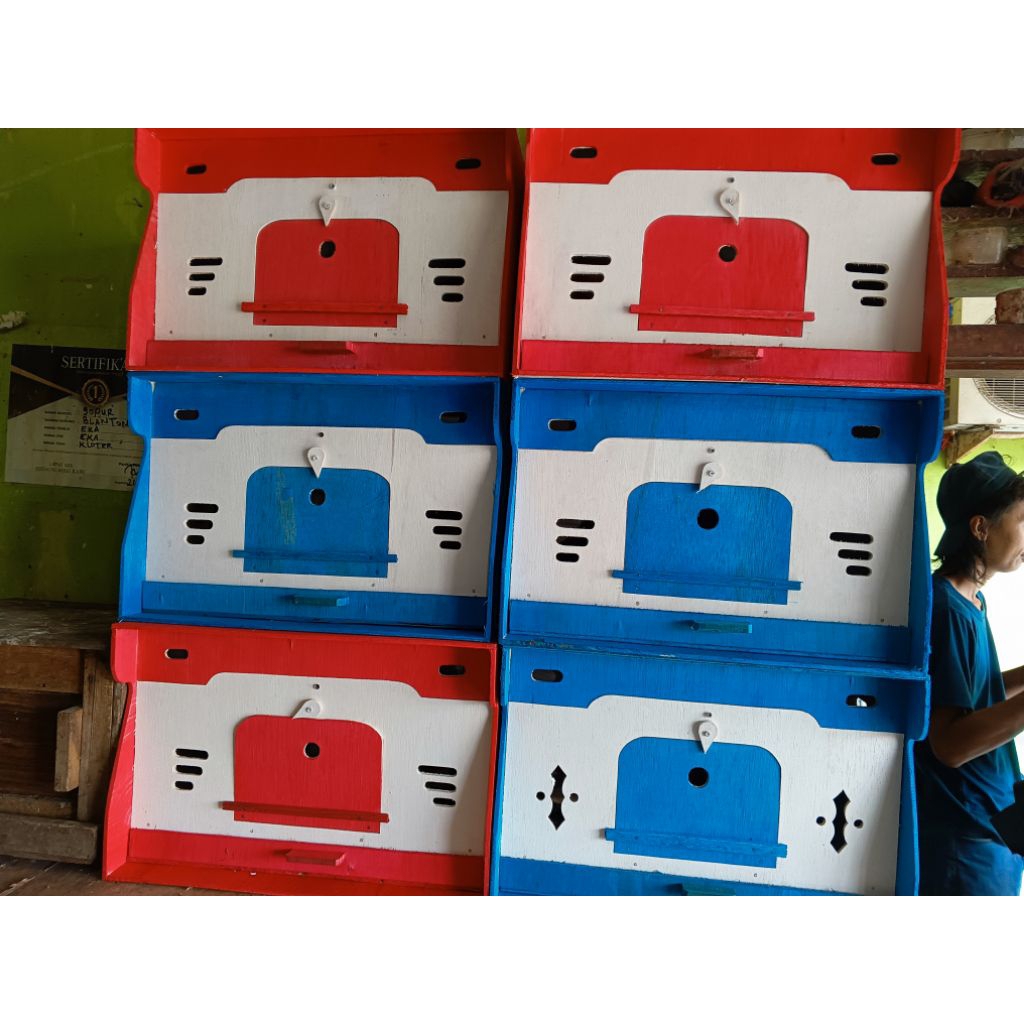 bekupon burung dara warna