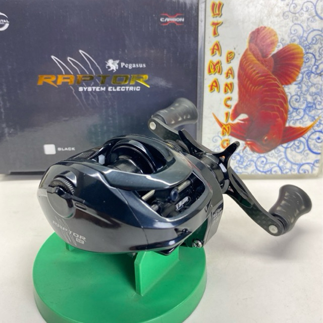 REEL BC PEGASUS RAPTOR DC