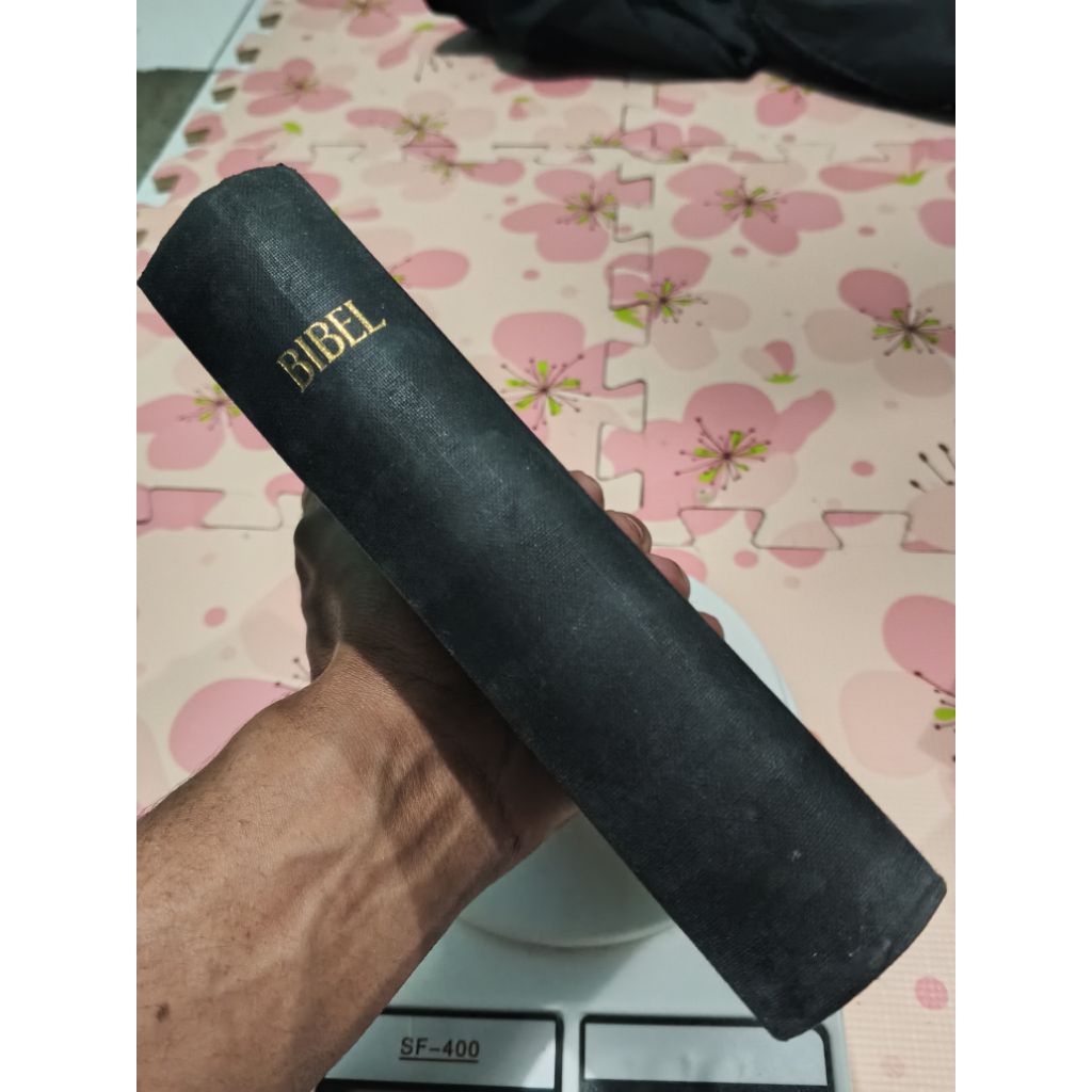 bibel (german language)