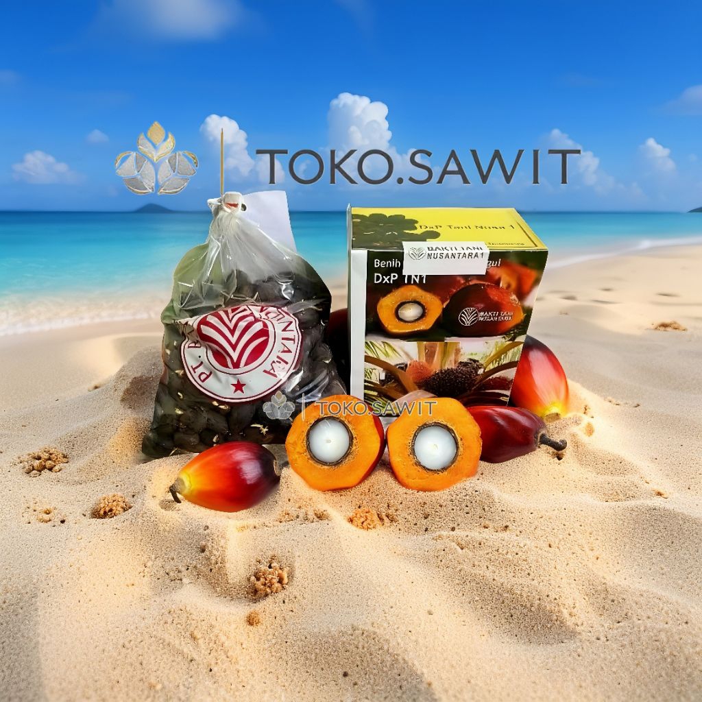 bibit kelapa sawit tn1 bibit sawit tani nusa bersertifikat