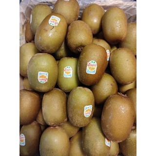 KIWI GOLD / KIWI KUNING ZESPRI SEGAR