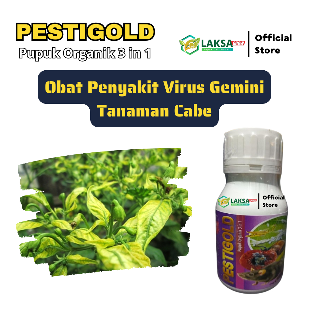 100% AMPUH Obat Penyakit Virus Gemini Pada Tanaman Cabe PESTIGOLD 250ML Fungisida Organik Hayati Ata