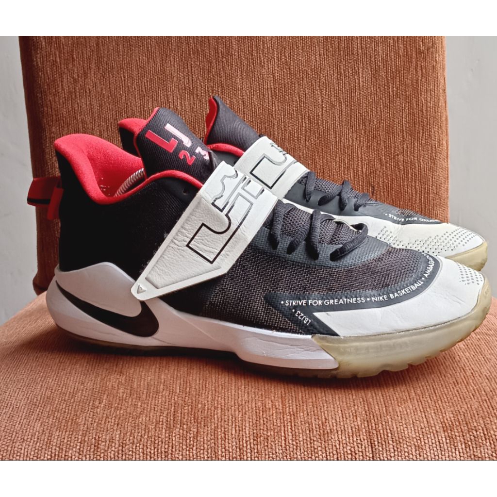 lebron Ambassador XII size 44