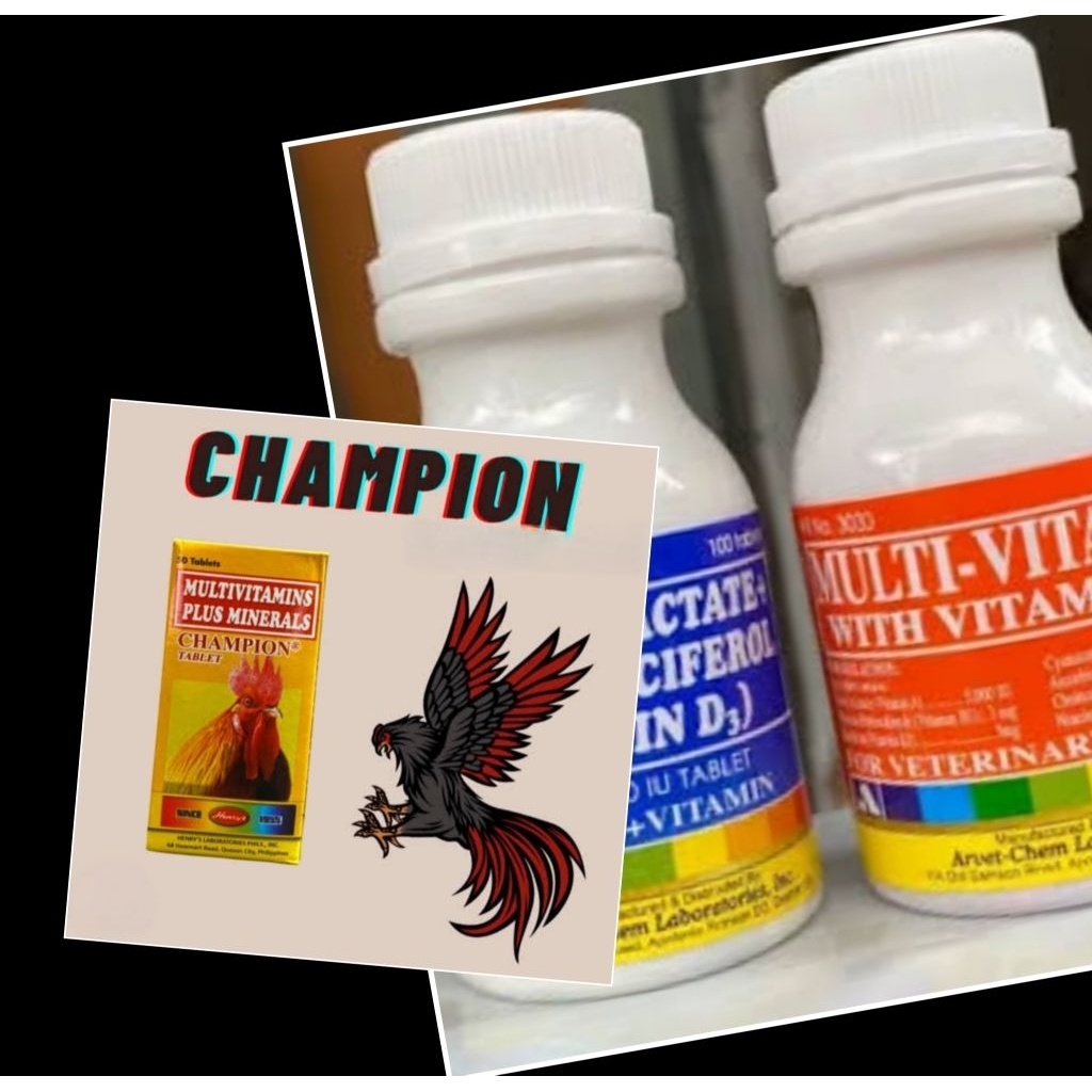 Champion & Calcium lactate & Multivitamin ayam aduan paket rawatan