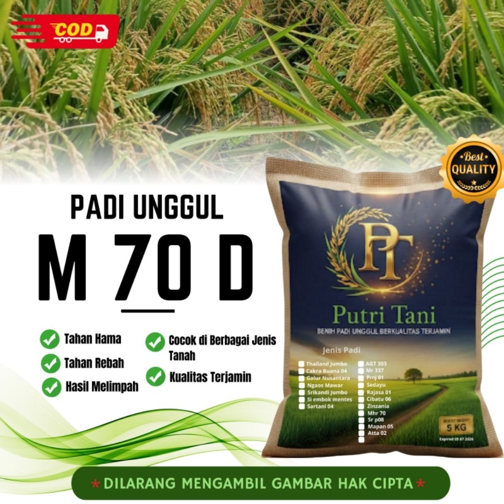 BIBIT PADI M70D KEMASAN 5KG