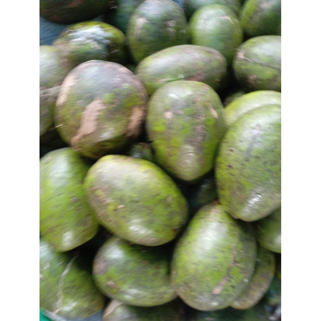 Buah Dondong Kedondong segar