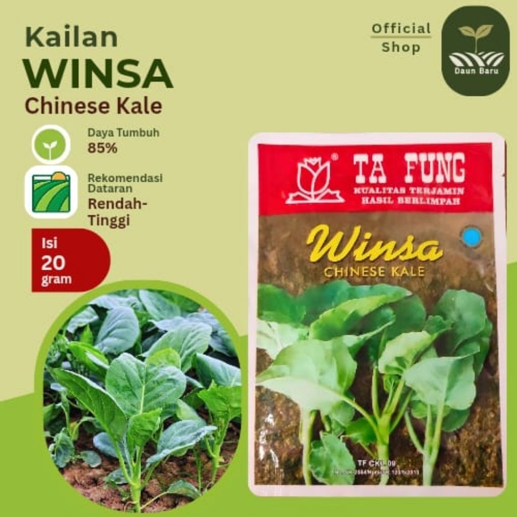 Benih Kailan WINSA Kemasan 20 gram