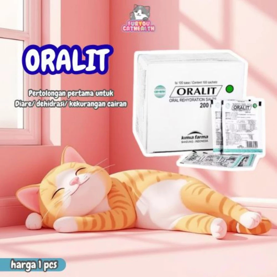 Oralit kucing cairan oralit oralit pertolongan pertama dehidrasi