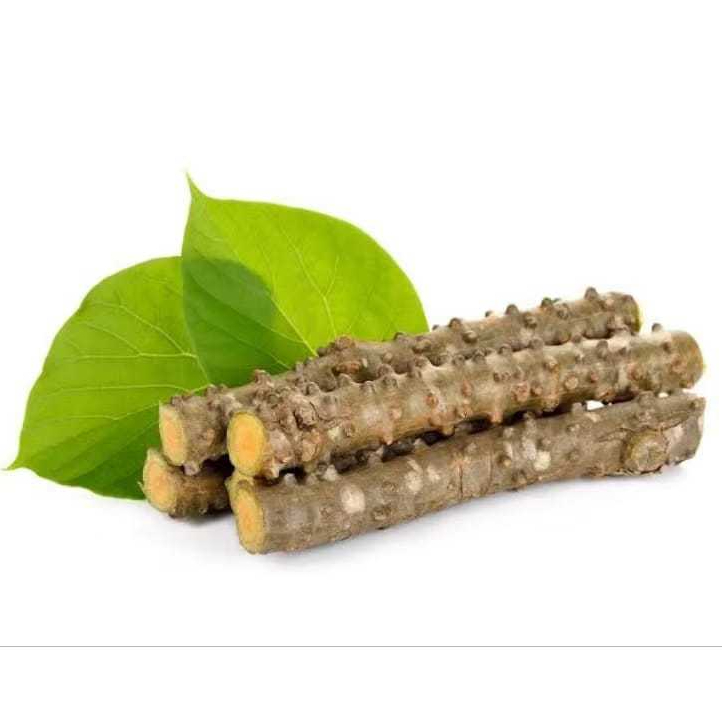 Batrawali Brotowali Sapih Asi Segar Bebas Pestisida Siap Pakai